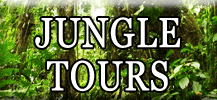 Jungle Tours